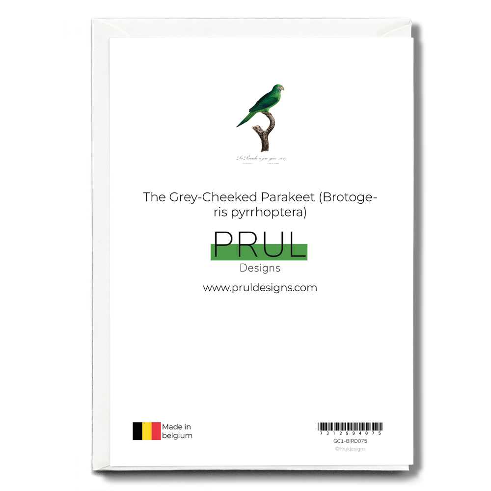 The Grey-Cheeked Parakeet (Brotogeris pyrrhoptera) - Wenskaart