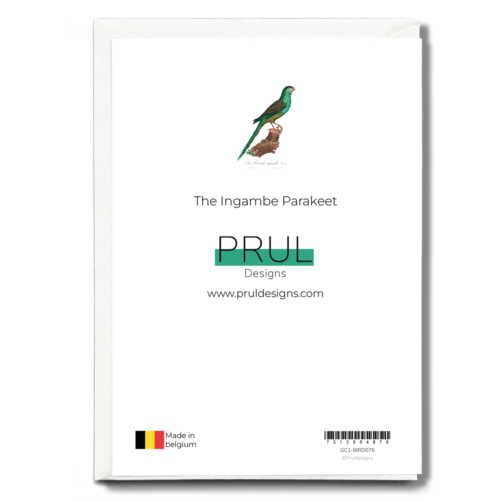 The Ingambe Parakeet - Wenskaart