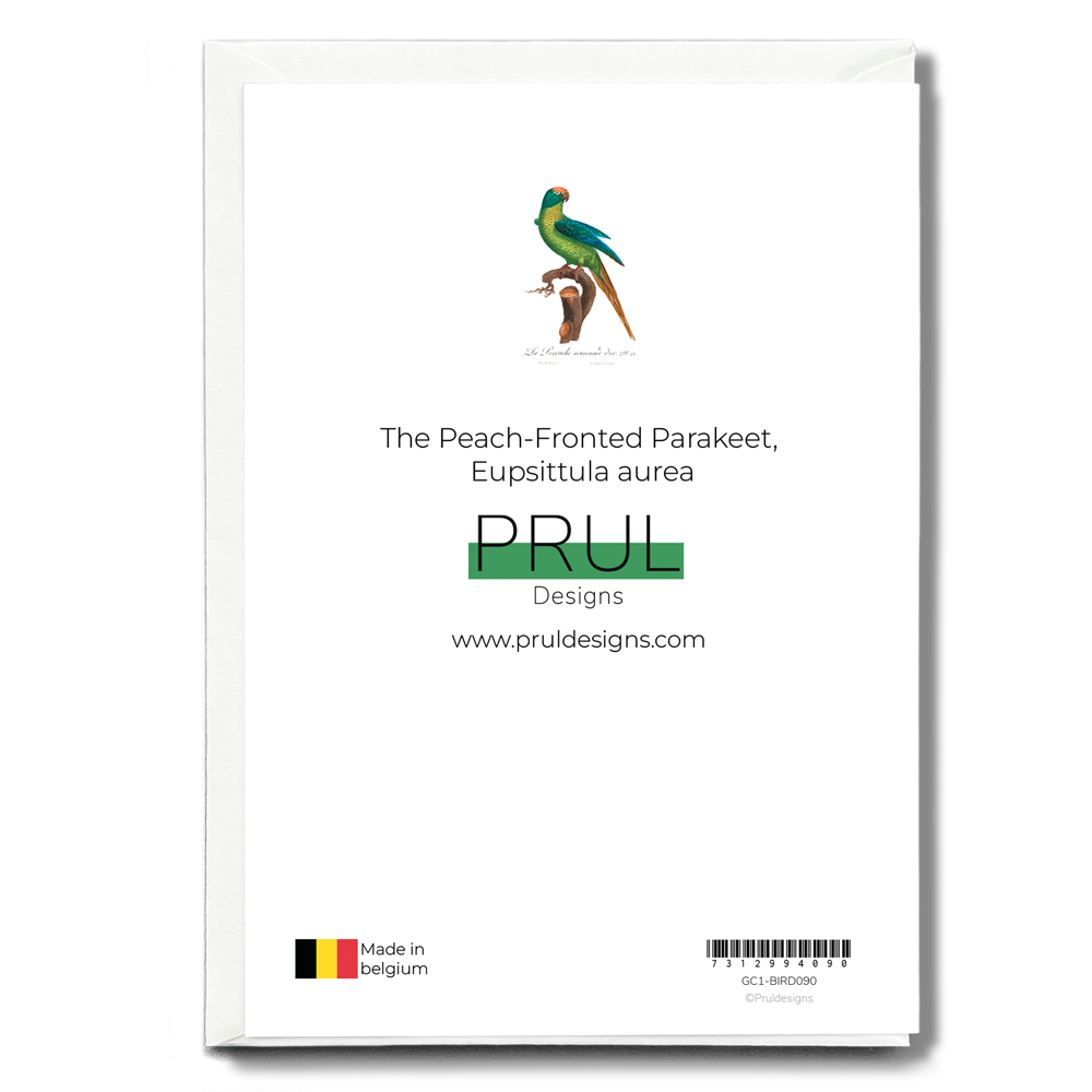 The Peach-Fronted Parakeet, Eupsittula aurea - Wenskaart