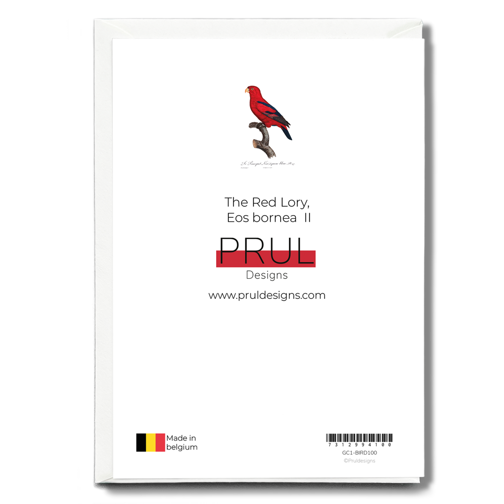 The Red Lory, Eos bornea II - Wenskaart