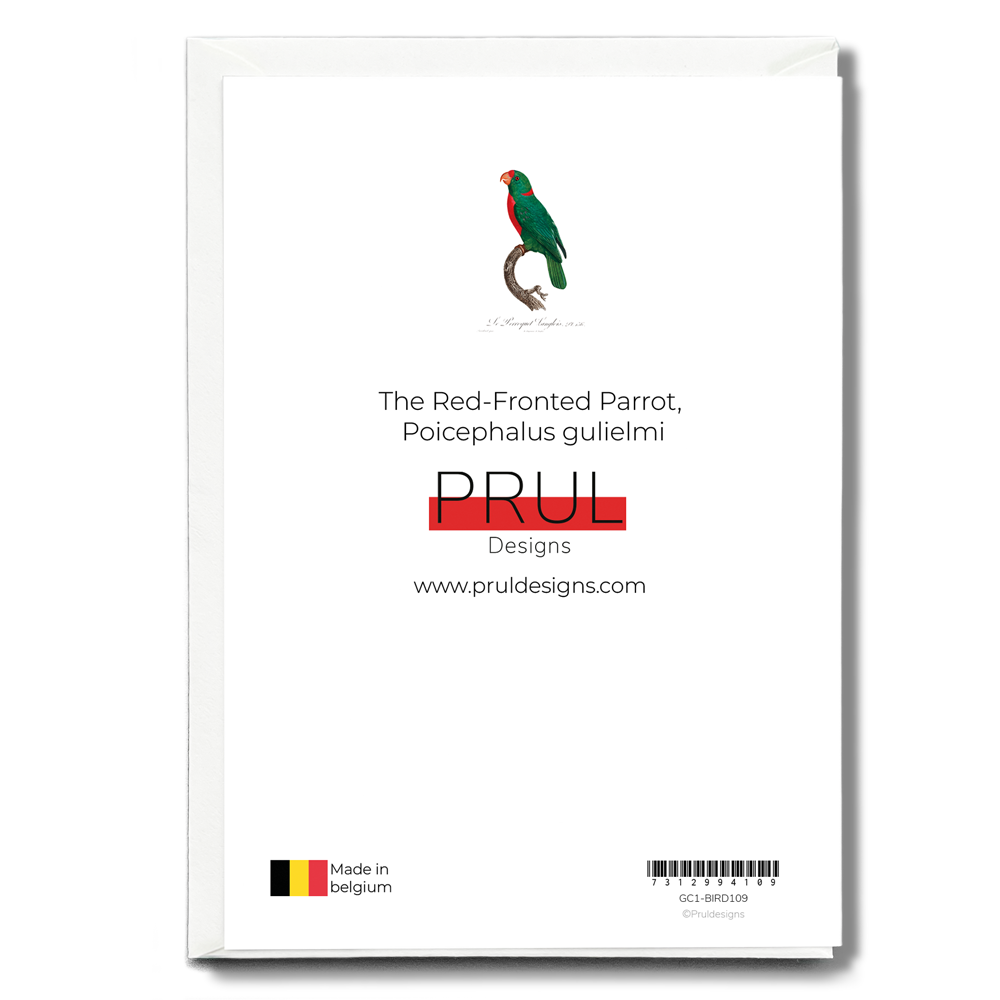 The Red-Fronted Parrot, Poicephalus gulielmi - Wenskaart