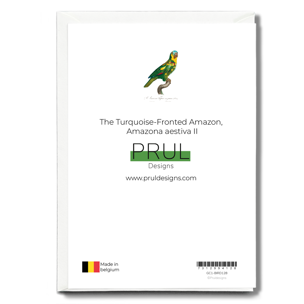The Turquoise-Fronted Amazon, Amazona aestiva II - Wenskaart