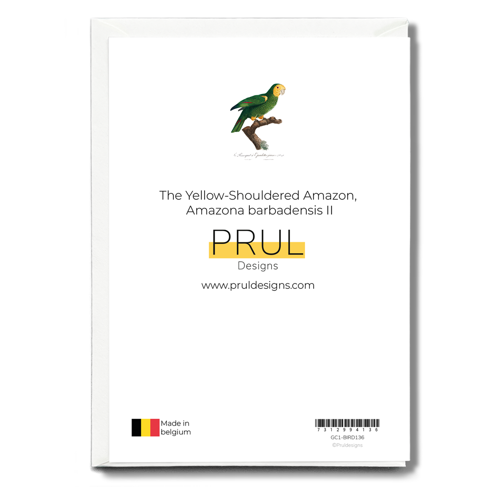 The Yellow-Shouldered Amazon, Amazona barbadensis II - Wenskaart