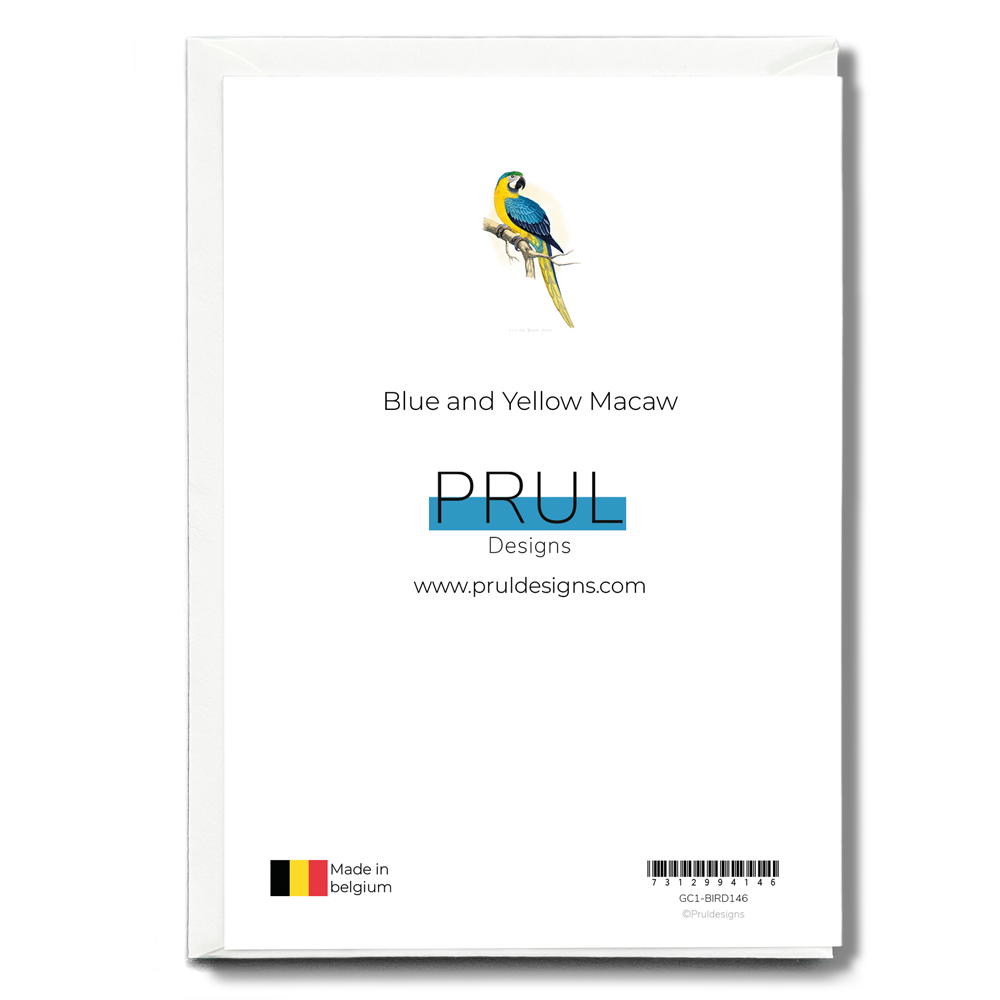 Blue and Yellow Macaw - Wenskaart