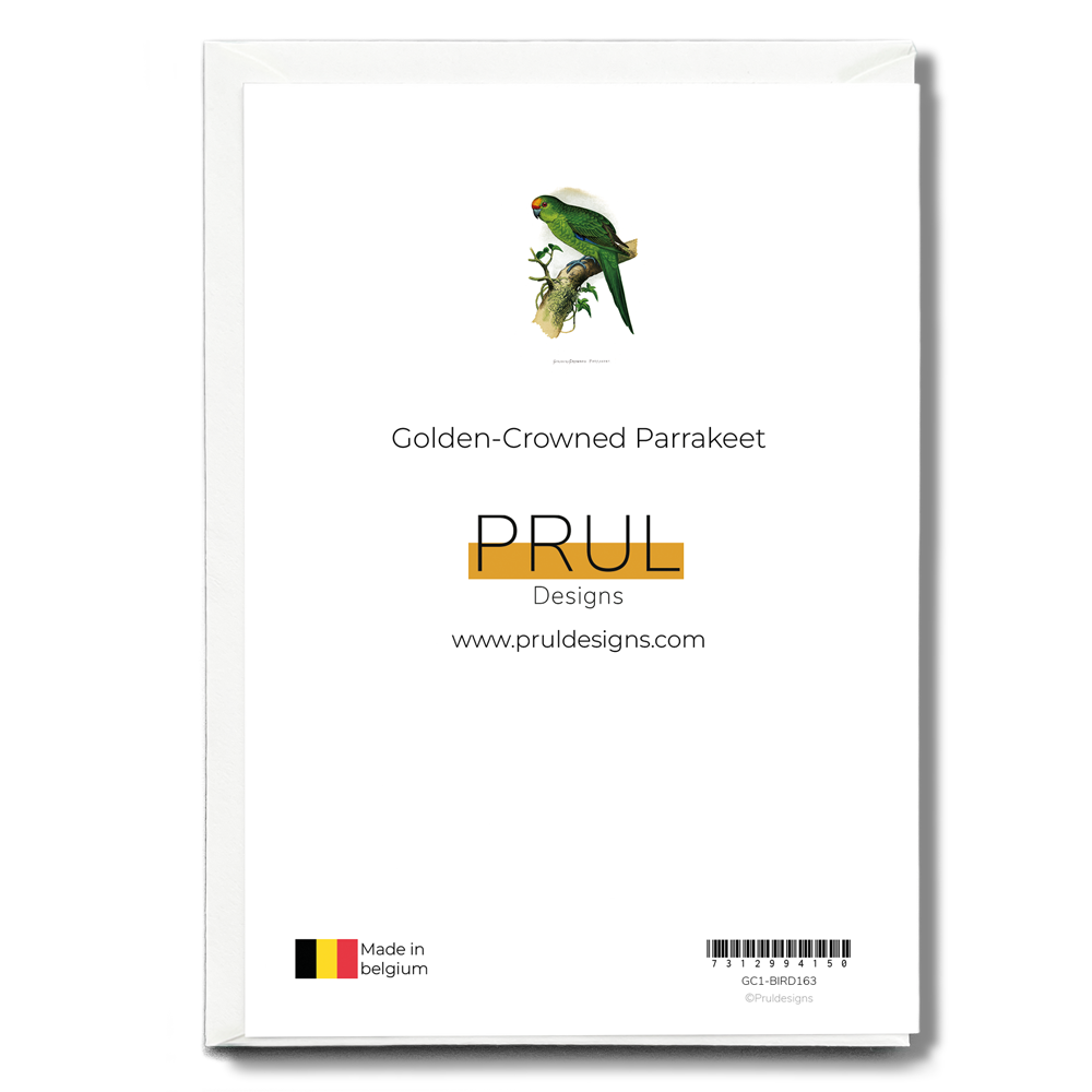 Golden-Crowned Parrakeet - Wenskaart