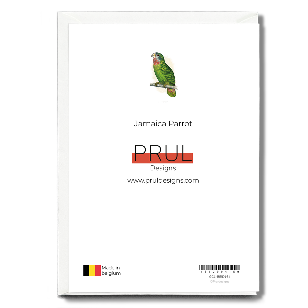 Jamaica Parrot - Wenskaart
