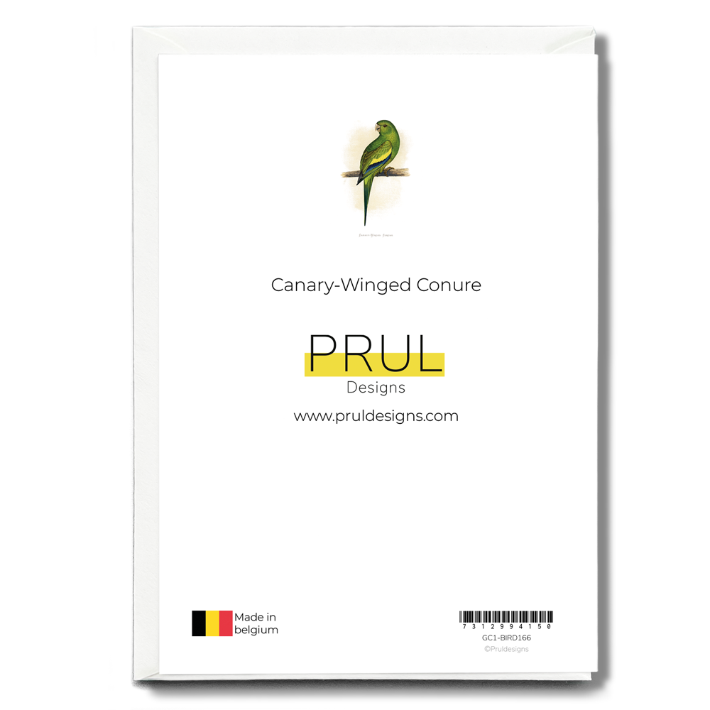 Canary-Winged Conure - Wenskaart
