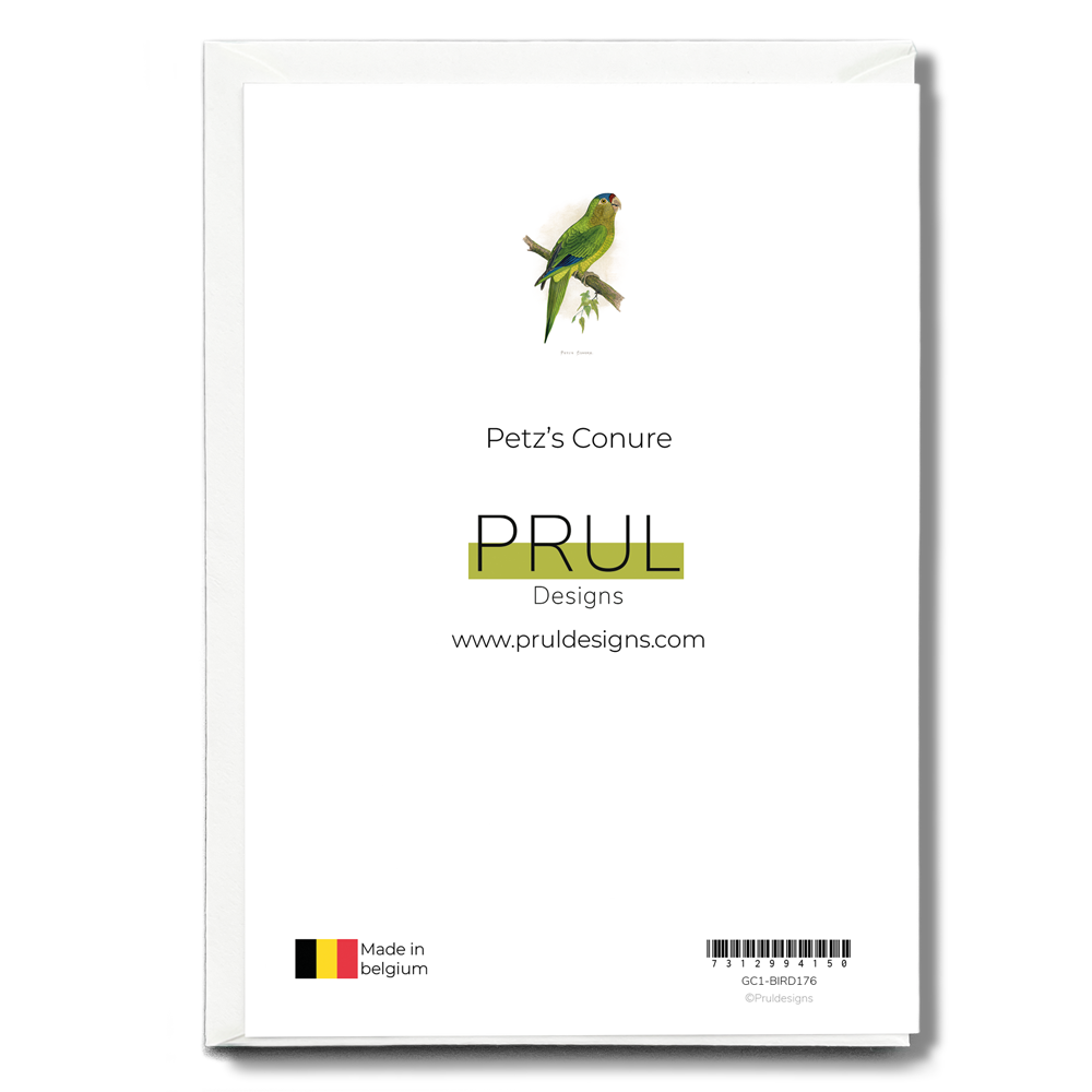 Petz's Conure - Wenskaart