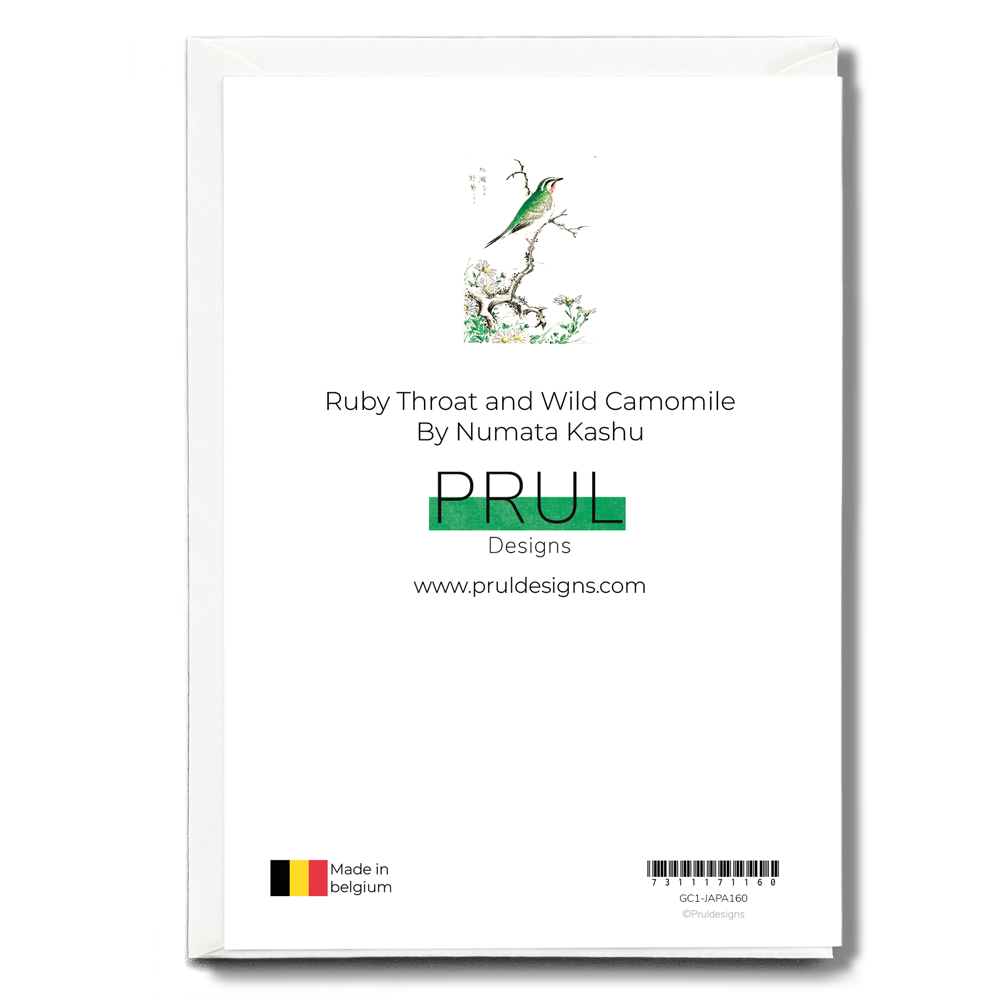 Ruby Throat and Wild Camomile By Numata Kashu - Greeting Card