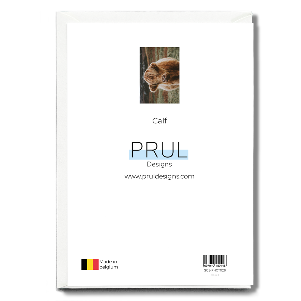 Calf - Greeting Card