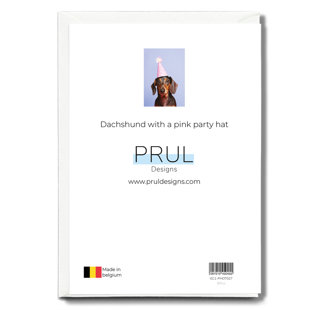 Dachshund with a pink party hat - Greeting Card