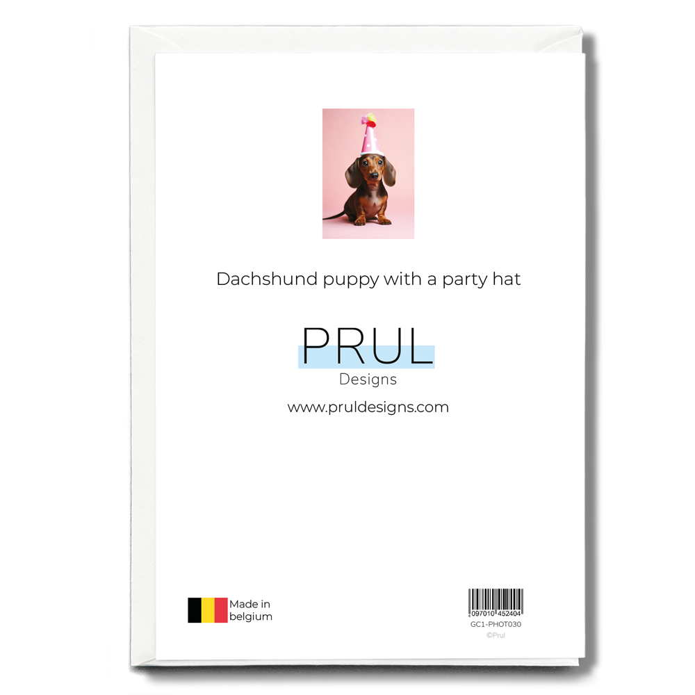 Dachshund puppy with a party hat - Greeting Card