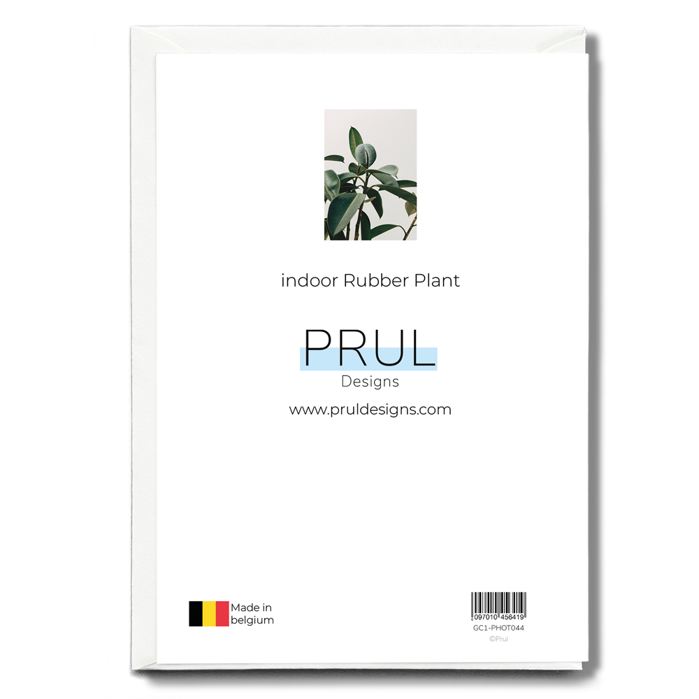 indoor Rubber Plant - Greeting Card