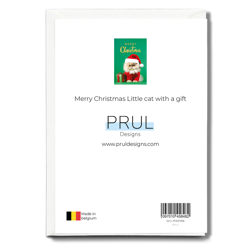 Merry Christmas Little cat with a gift - Greeting Card