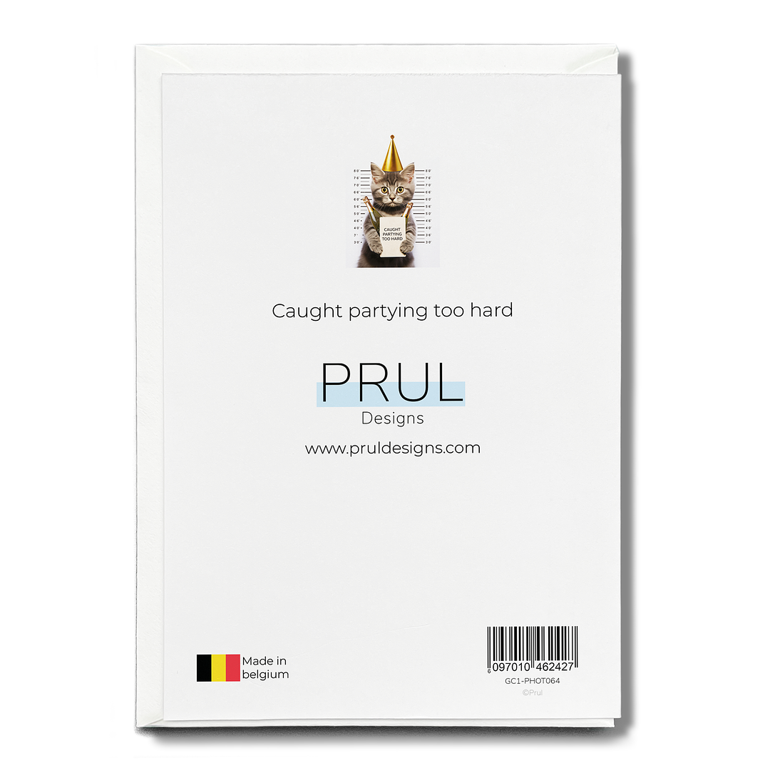 Caught partying too hard - Greeting Card