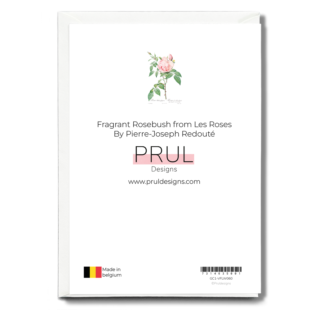 Fragrant Rosebush from Les Roses By Pierre-Joseph Redouté - Wenskaart