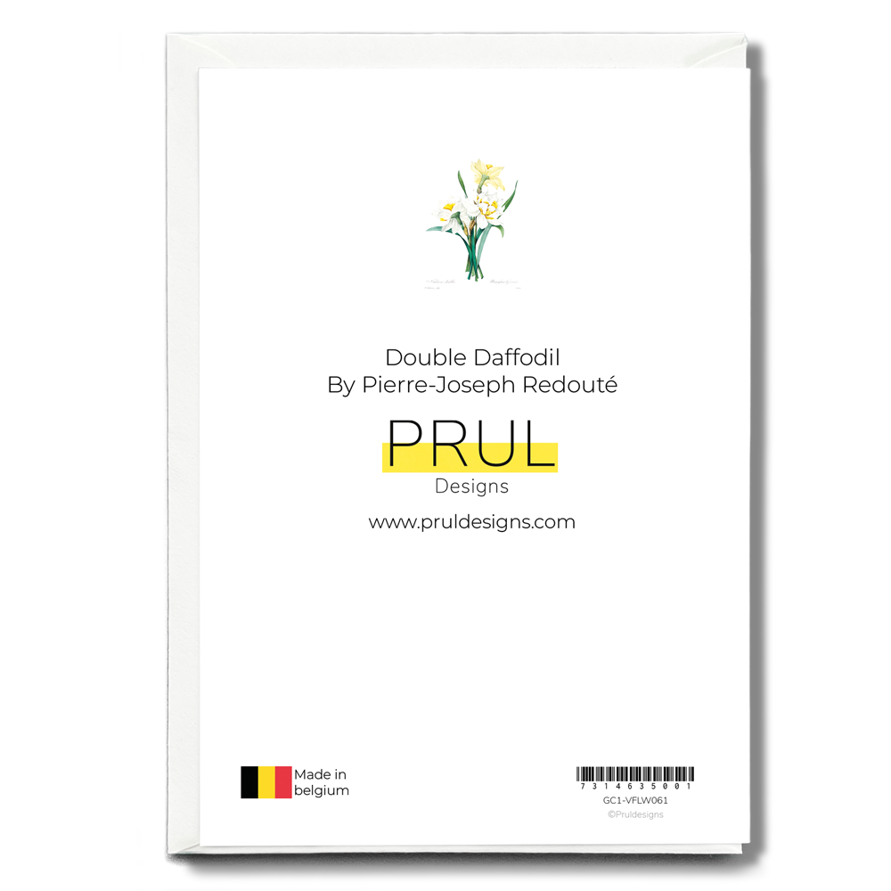 Double Daffodil by Pierre-Joseph Redouté - Wenskaart