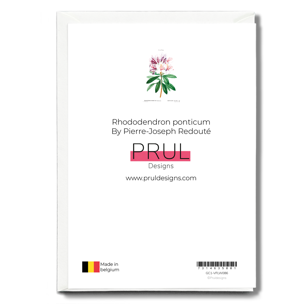 Rhododendron ponticum By Pierre-Joseph Redouté - Wenskaart
