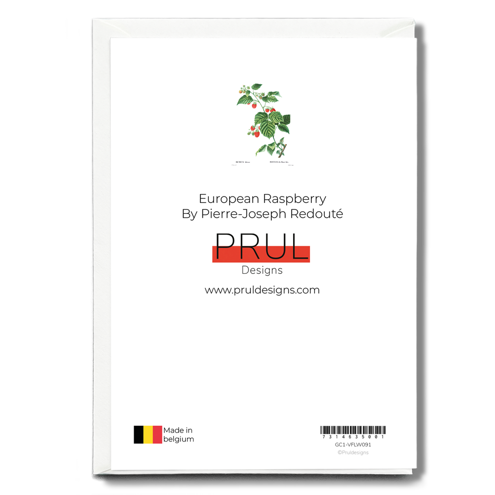 European Raspberry By Pierre-Joseph Redouté - Wenskaart