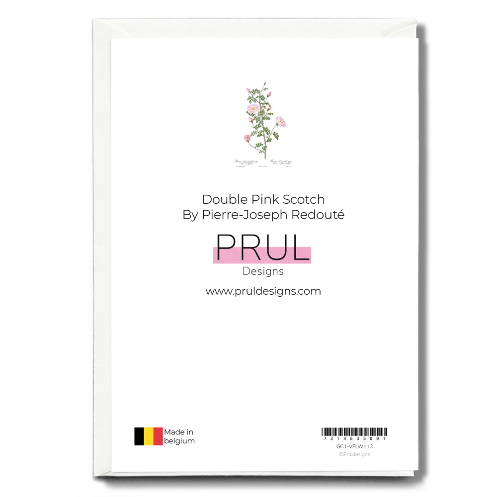 Double Pink Scotch By Pierre-Joseph Redouté - Wenskaart
