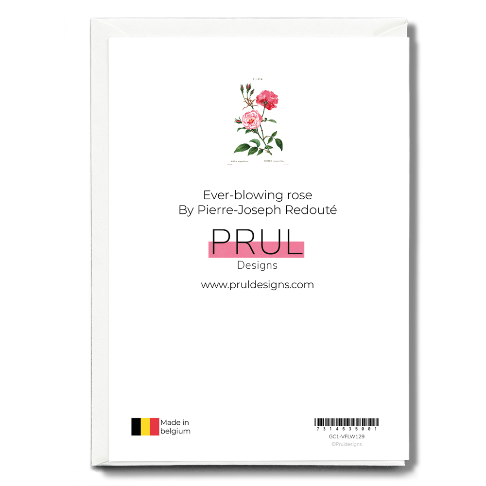 Ever-blowing rose By Pierre-Joseph Redouté - Wenskaart