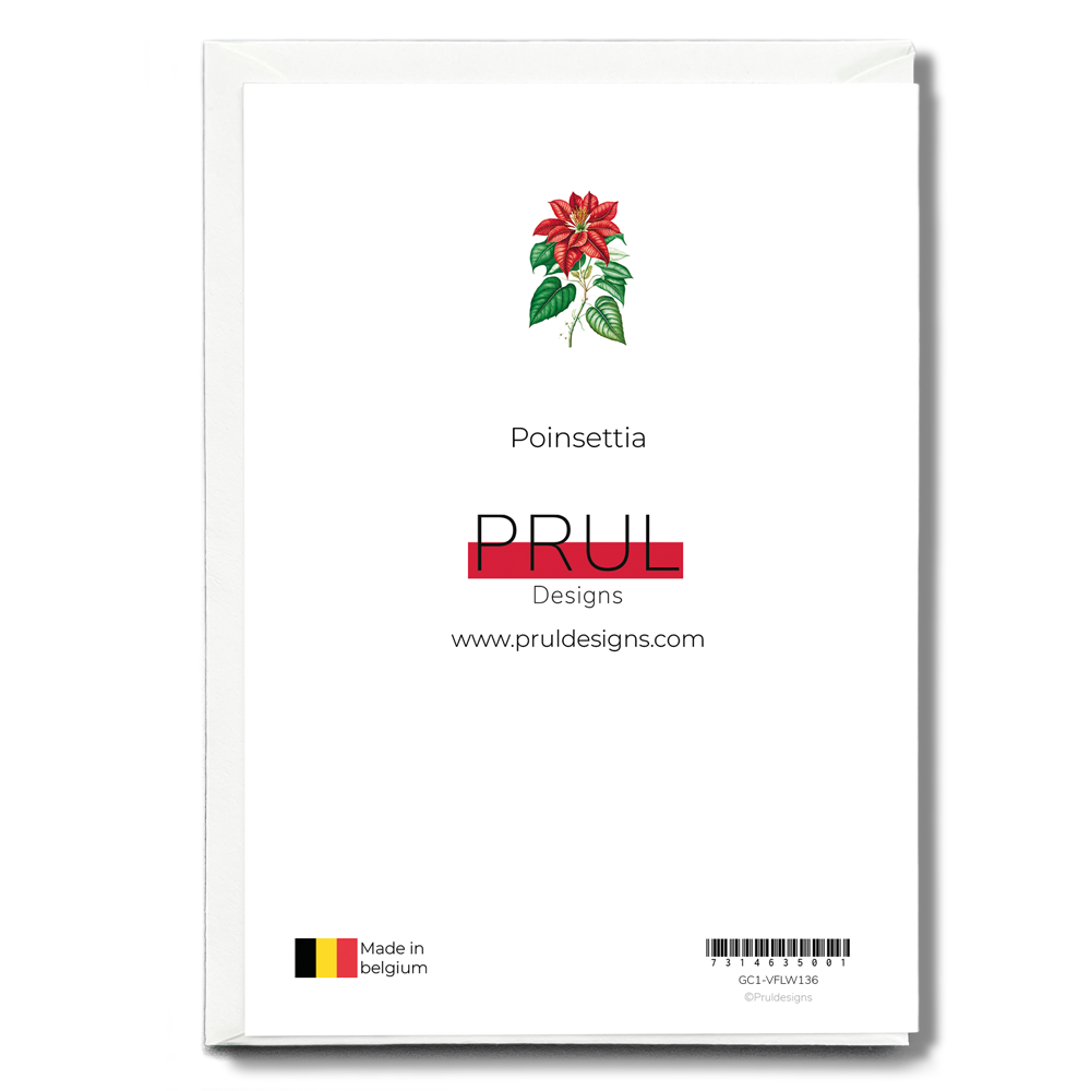 Poinsettia - Wenskaart