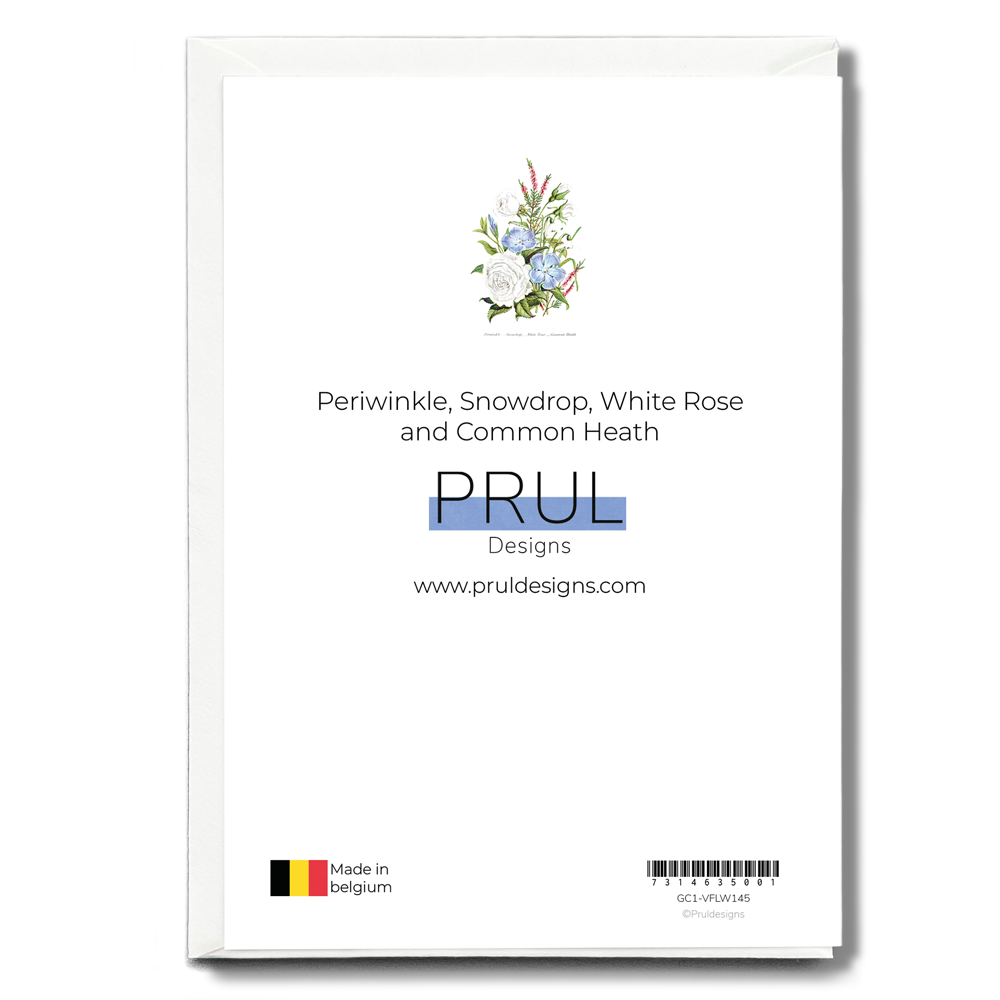 Periwinkle, Snowdrop, White Rose and Common Heath - Wenskaart