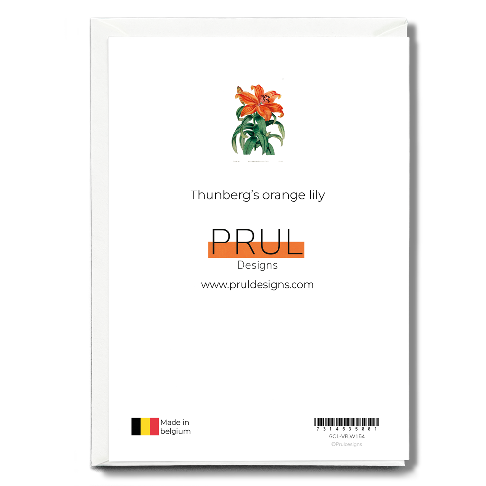 Thunberg's orange lily - Wenskaart