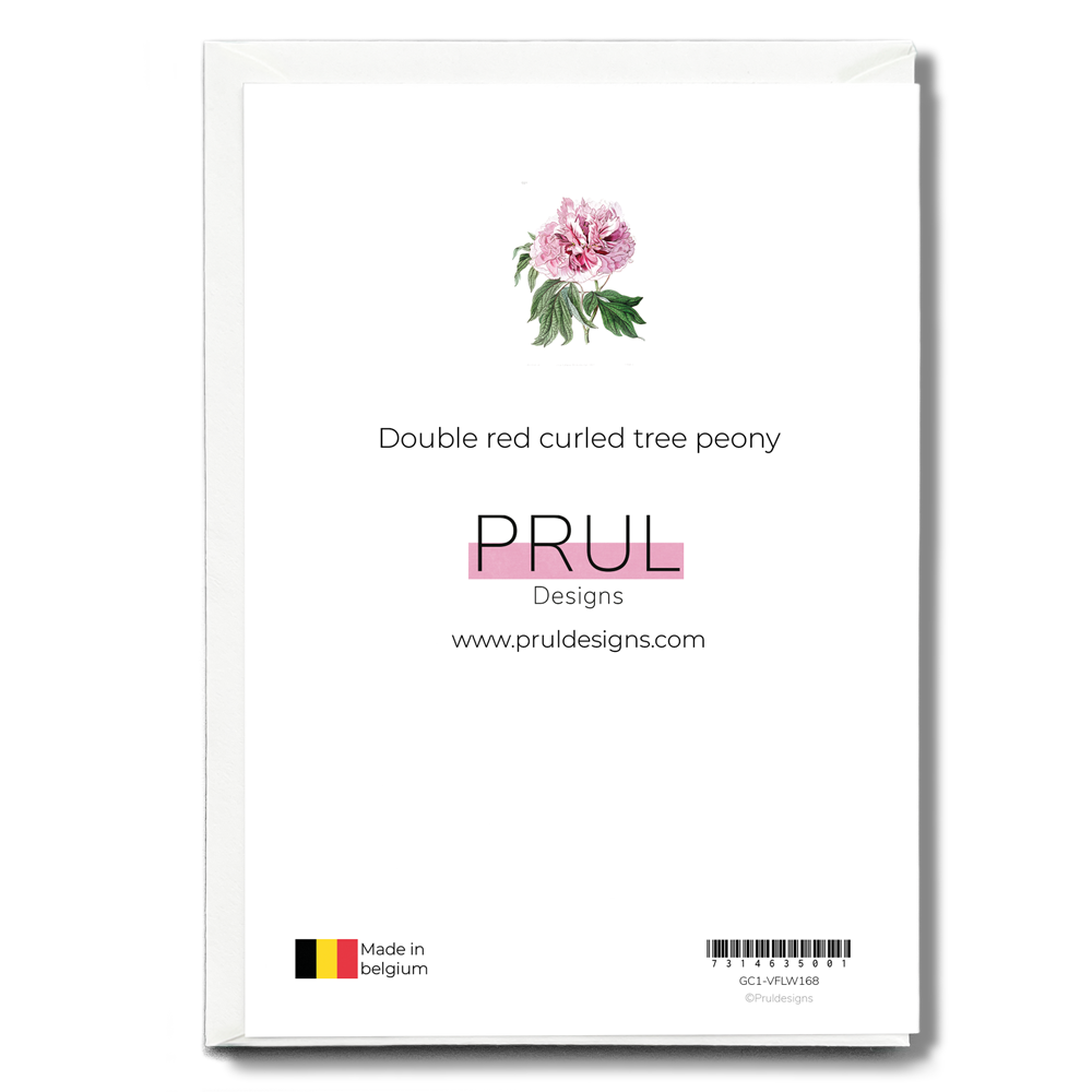 Double red curled tree peony - Wenskaart