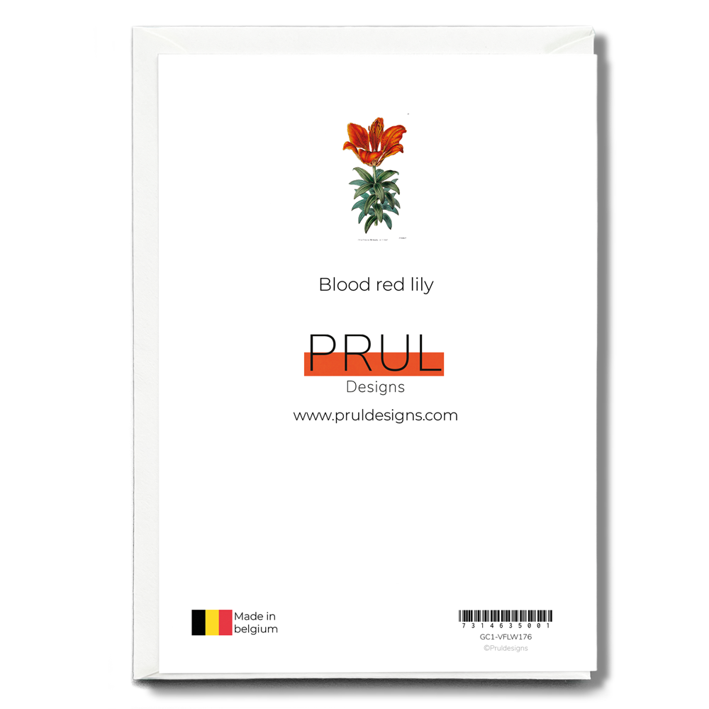 Blood red lily - Wenskaart