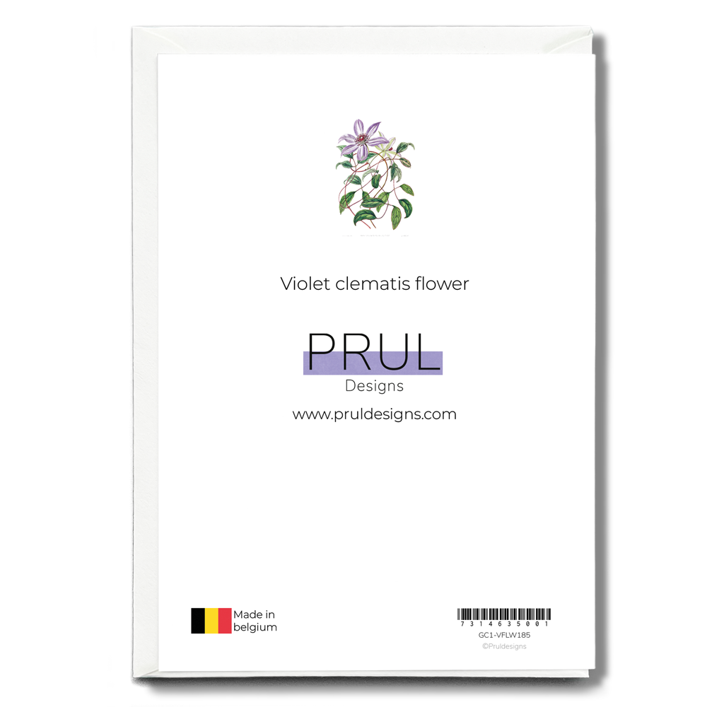 Violet clematis flower - Wenskaart