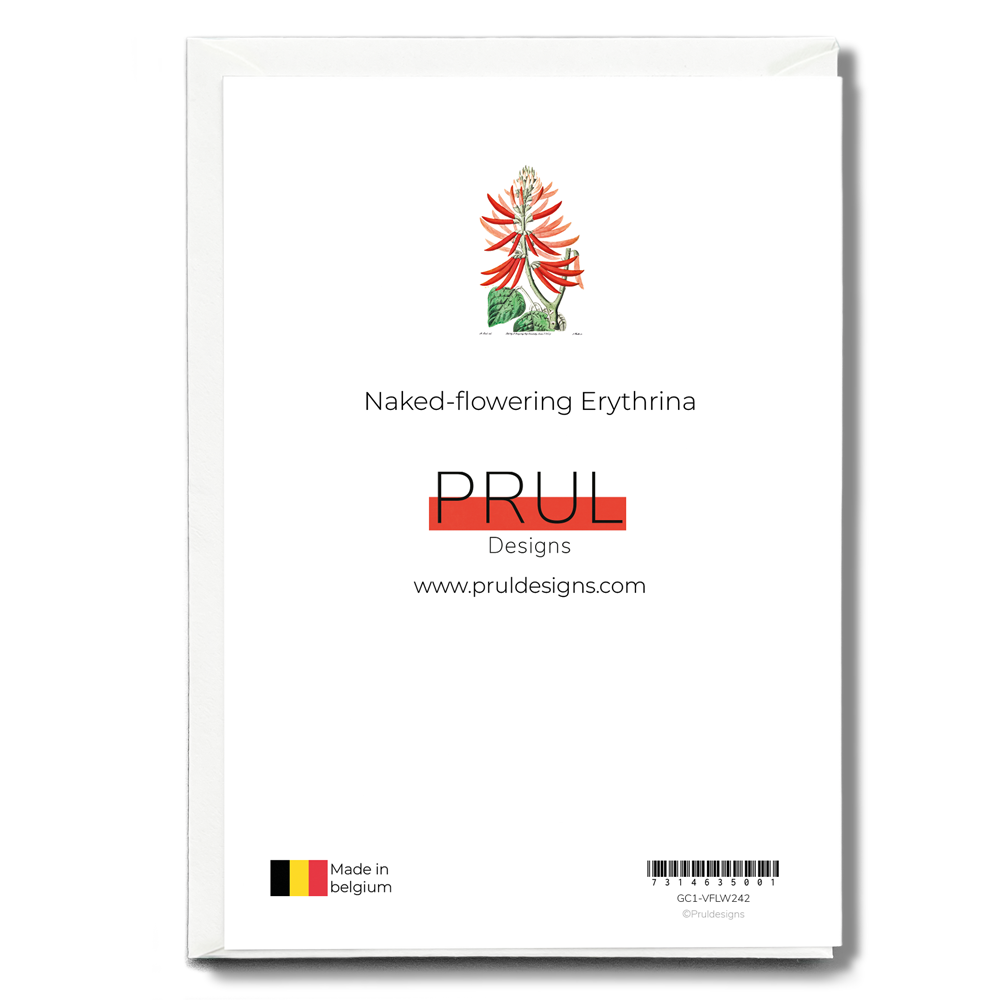 Naked-flowering Erythrina - Wenskaart