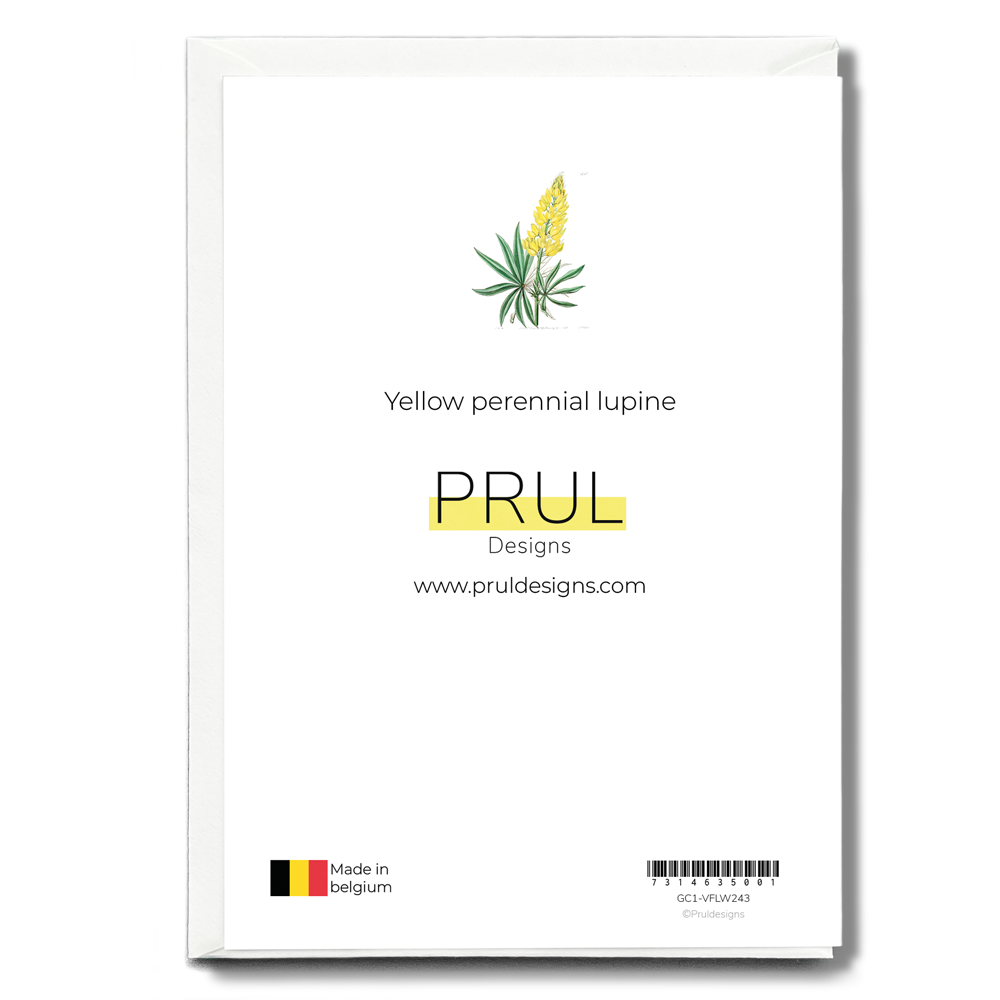 Yellow perennial lupine - Wenskaart