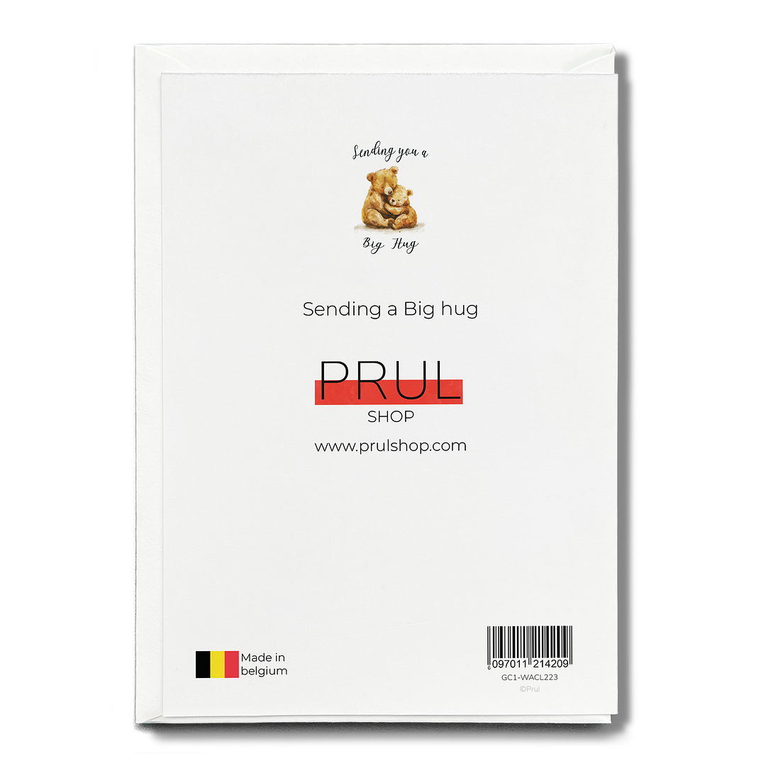 Sending a Big hug - Greeting Card
