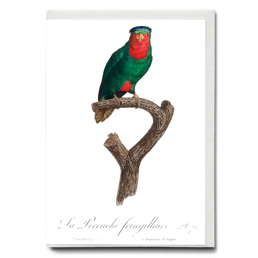 The blue-crowned lorikeet, Vini australis - Wenskaart