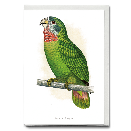 Jamaica Parrot - Wenskaart