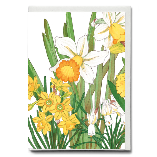 Daffodils By Tanigami Kônan - Wenskaart