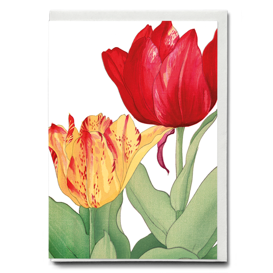Tulip By Tanigami Kônan - Wenskaart