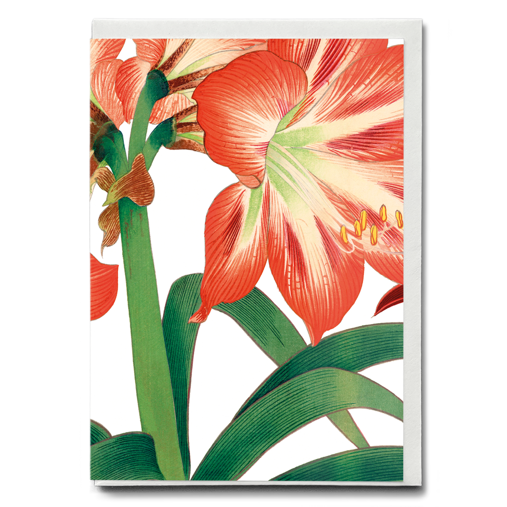 Amaryllis flower By Tanigami Kônan - Wenskaart