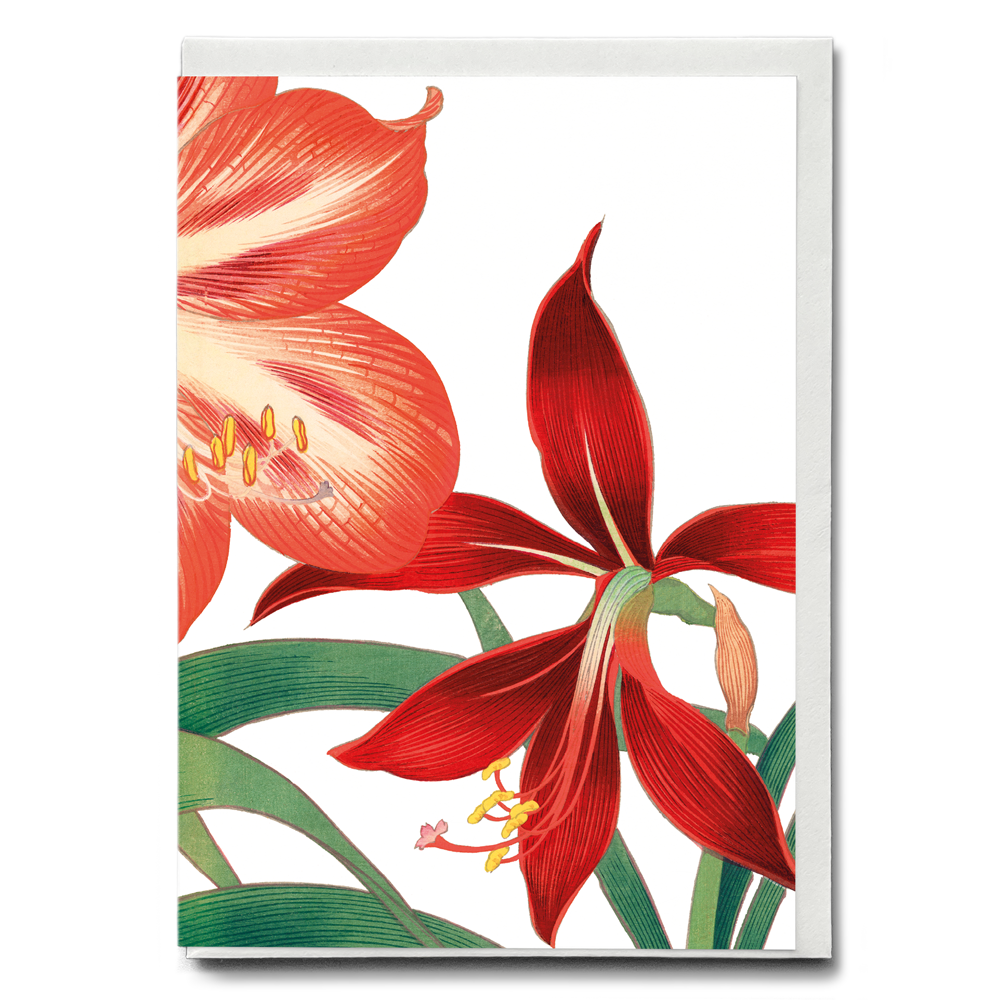 Amaryllis By Tanigami Kônan - Wenskaart