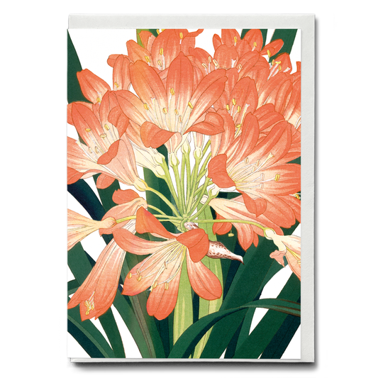 Cliviminiata By Tanigami Kônan - Wenskaart