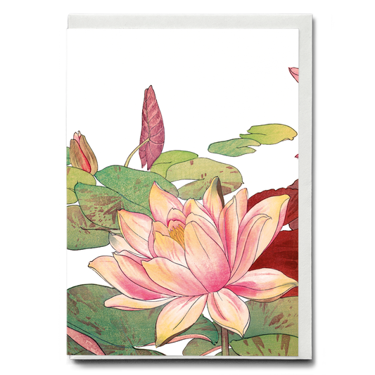 Nymphaea Lotus By Tanigami Kônan - Wenskaart