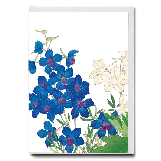 Delphinium flowers By Tanigami Kônan - Wenskaart