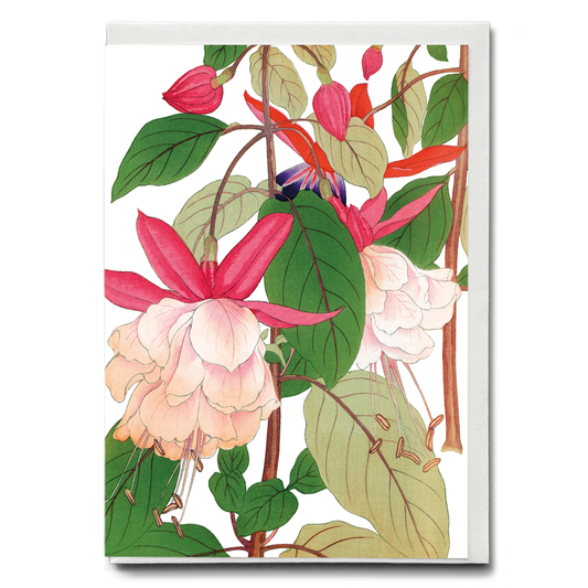 Fuchsia By Tanigami Kônan - Wenskaart