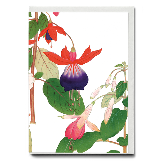 Fuchsia flower By Tanigami Kônan - Wenskaart