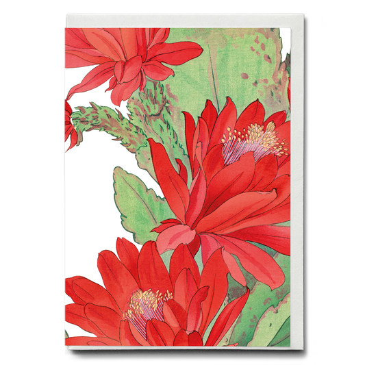 Phyiiocactus By Tanigami Kônan - Wenskaart