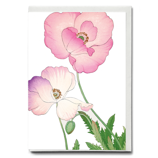 Pink Poppy By Tanigami Kônan - Wenskaart