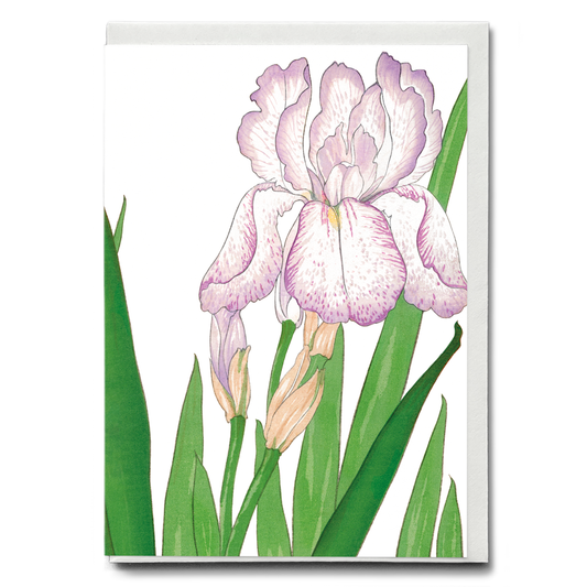 Iris flower By Tanigami Kônan - Wenskaart