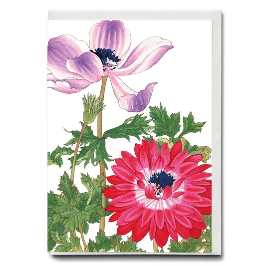 Poppy's By Tanigami Kônan - Wenskaart