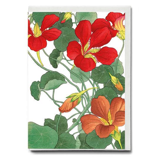 Nasturtium By Tanigami Kônan - Wenskaart